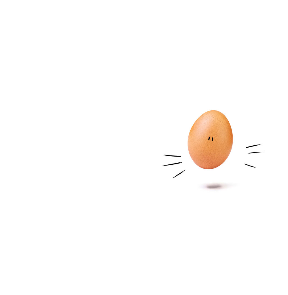 World Record Egg